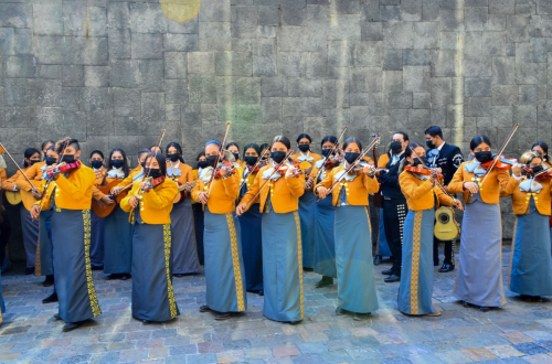 Mariachi Femenil de Tecolotlán Ana Bertha Lepe